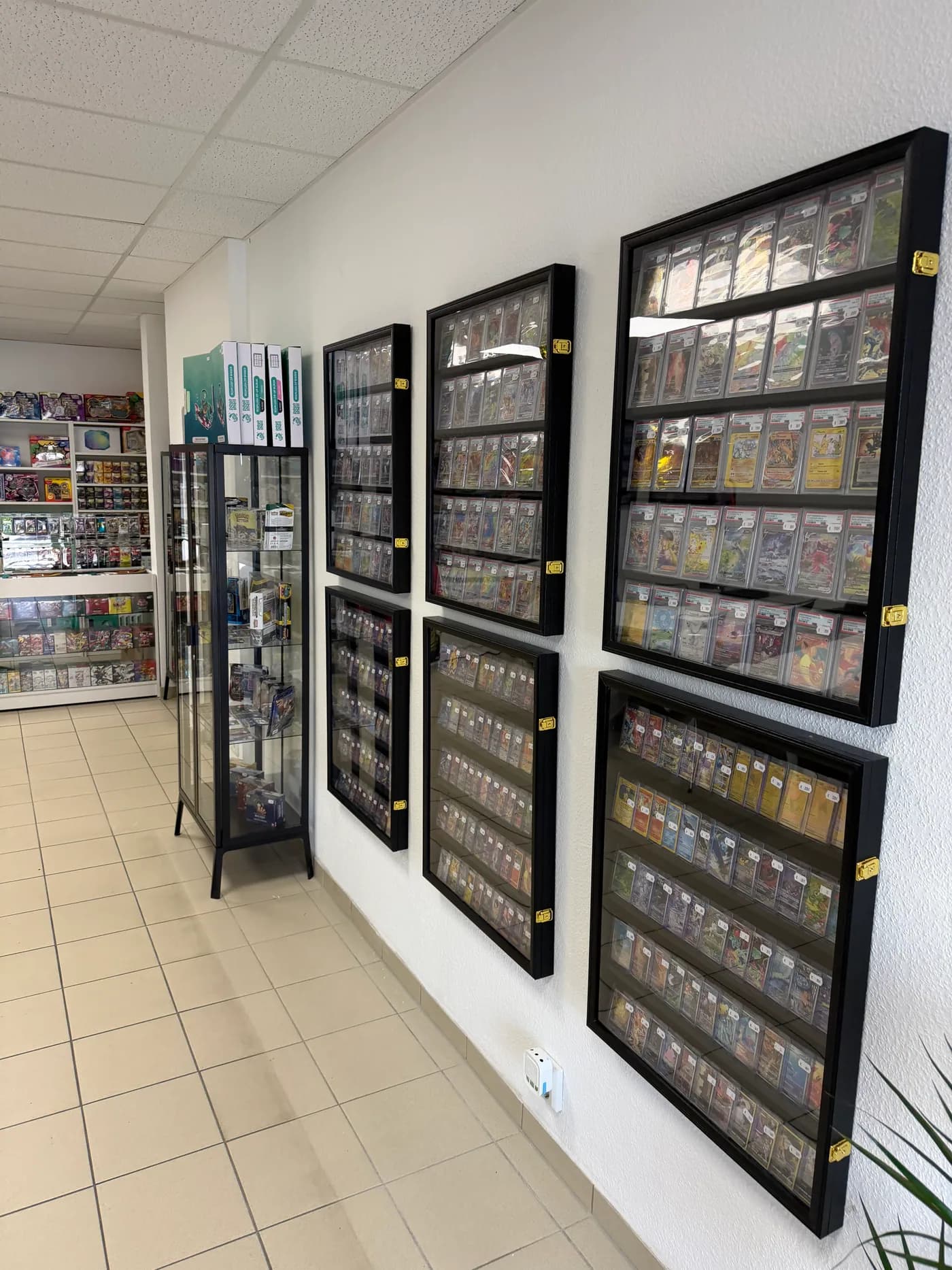 Gerahmte Sammelkarten und Vitrinen an der Kartenwand im J-Productions Store